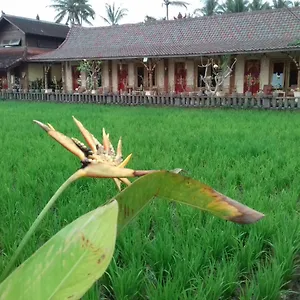 Rice Padi Artha Ubud (Bali)